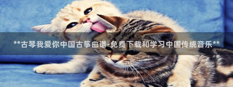 凯发官网地址