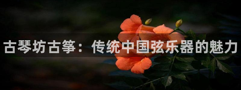 凯发手机客户端下载
