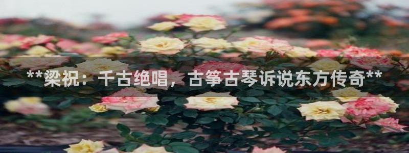 凯发唯一官方网站