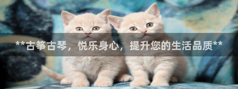 凯发k8全球公开加盟