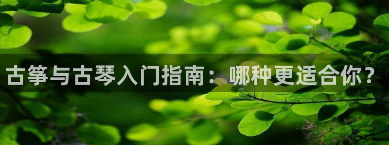 凯发国际网站
