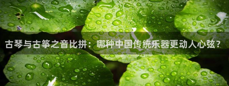 凯发国际平台