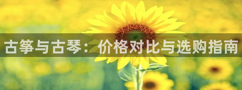 凯发k8旗舰店