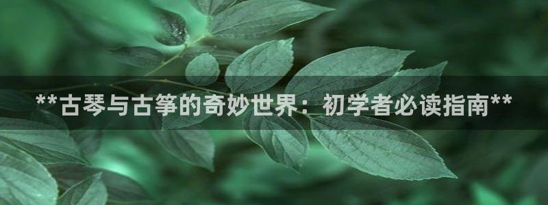凯发国际平台app