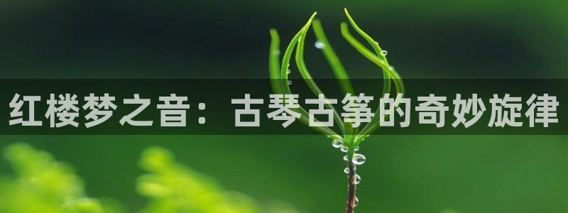 凯发平台开户