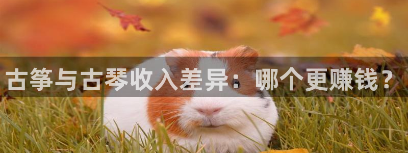 k8凯发国际首页