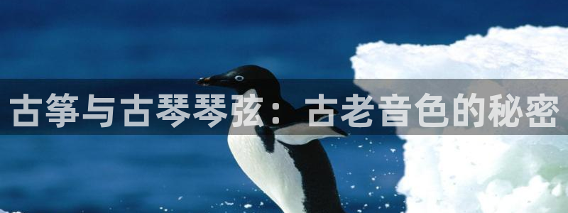 凯发k8娱乐官网网址中心