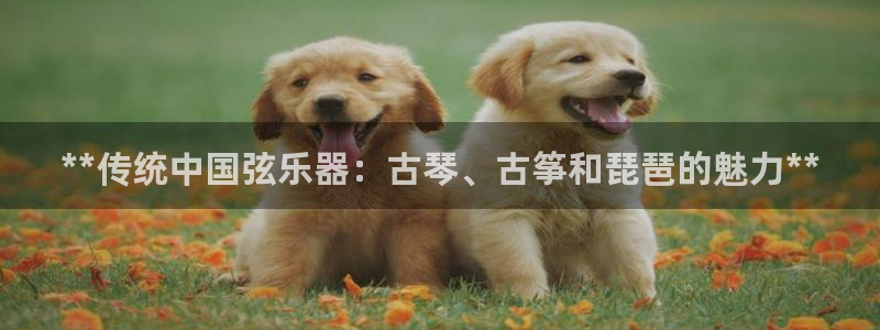 凯发k8国际真人版安全送38元