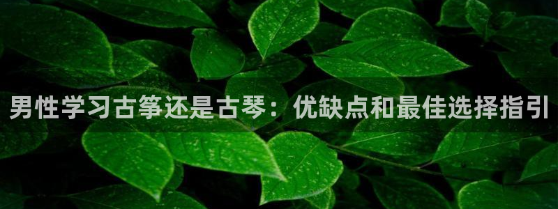 凯发国际平台官网