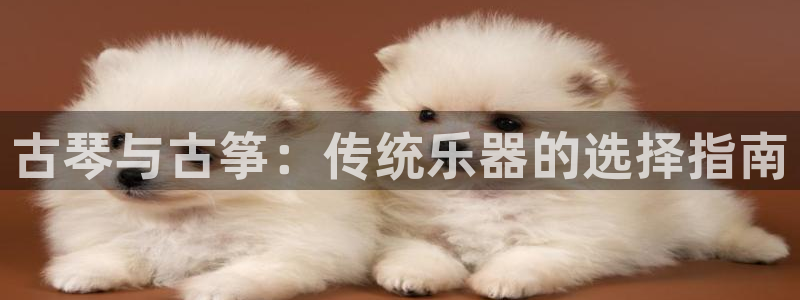 凯发k8国际 不能提款了