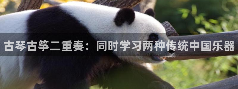 凯发k8国际版官网