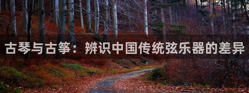 凯发k8app下载