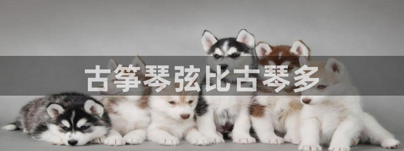 凯发k8国际app