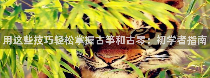 凯发官网下载客户端