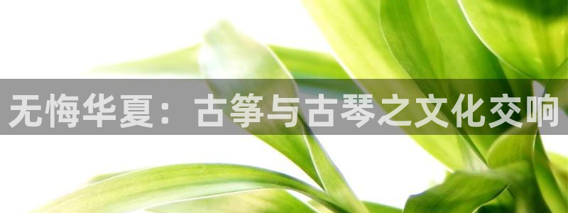 凯发国际平台app