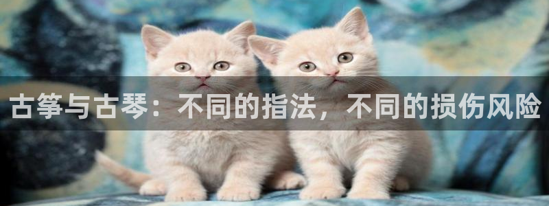 凯发k8手机是正品吗多少钱