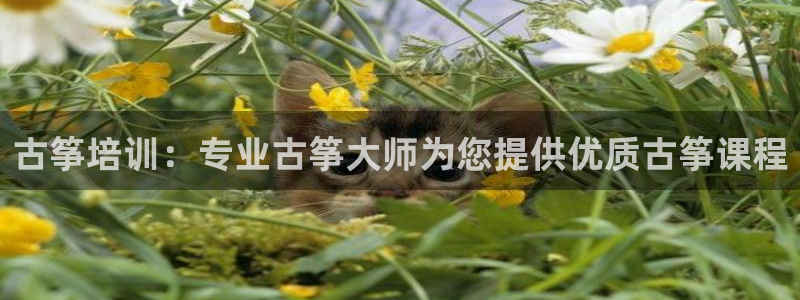 凯发k8555|手机版
