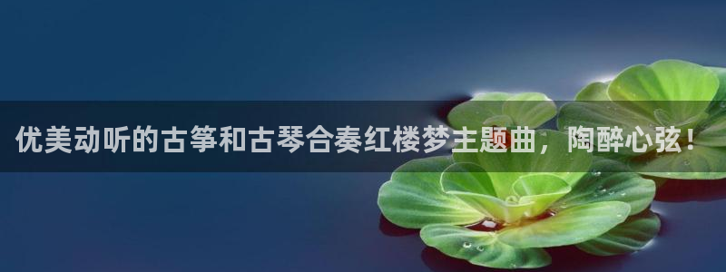 凯发国际平台app