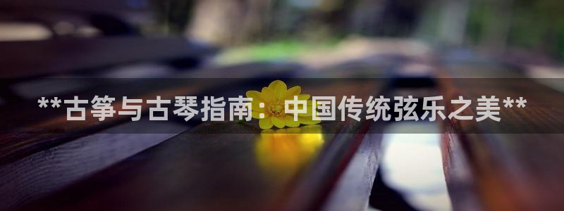凯发网址登录