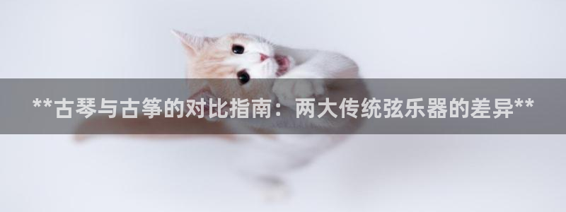 凯发国际是什么
