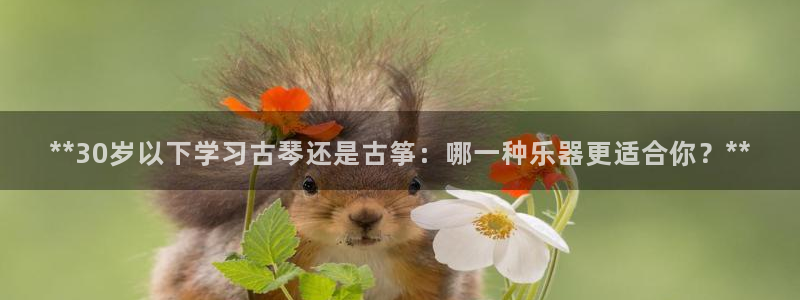 凯发k8官方网娱乐官方