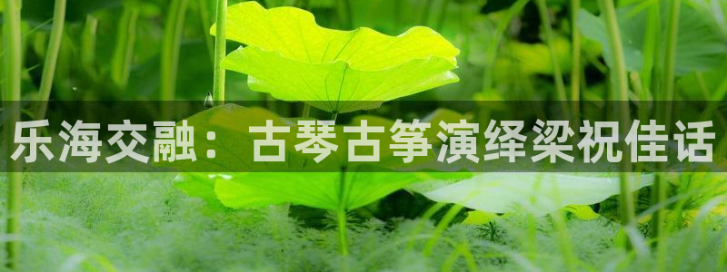 凯发k8娱乐官网入