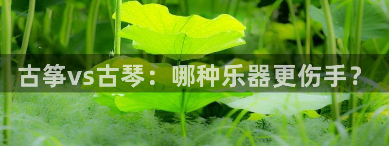 凯发app平台