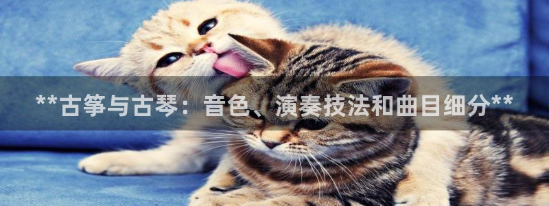 凯发国际娱乐官网k8