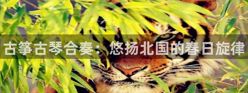 凯发k8官方