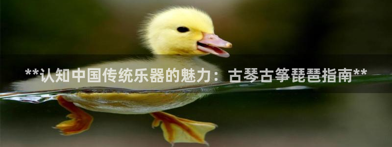 k8凯发官方找就送38