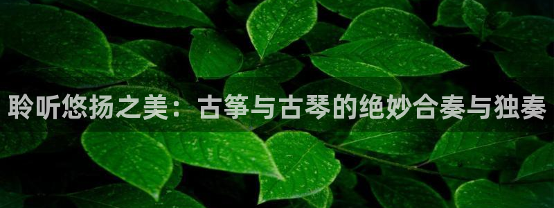 凯发娱乐官方网