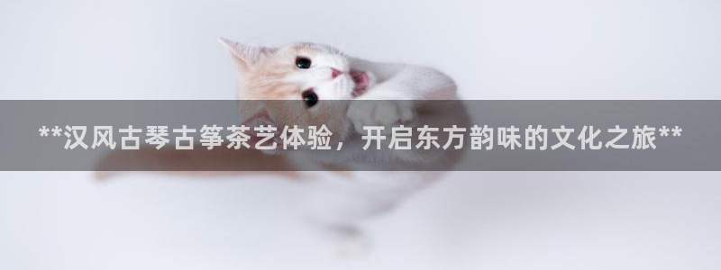 凯发国际官网下载