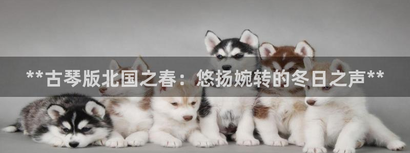 凯发k8旗舰店