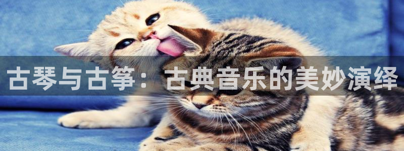 凯发k8旗舰厅app下载可靠送38元是真的吗