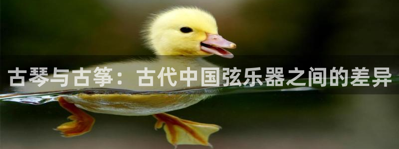 凯发k8娱乐官方下载