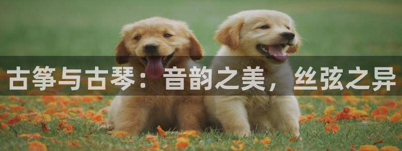 凯发k8娱乐平台能提现吗