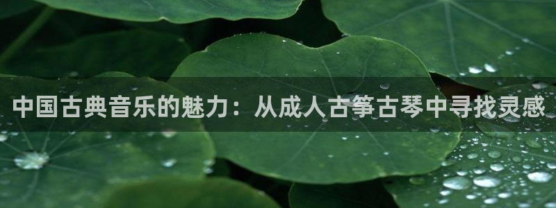 凯发k8娱乐|k808.vip
