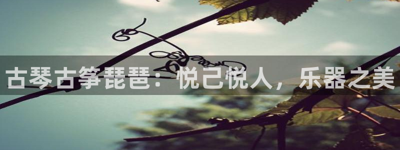 凯发旗舰