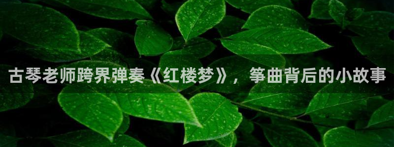凯发国际是什么投资平台