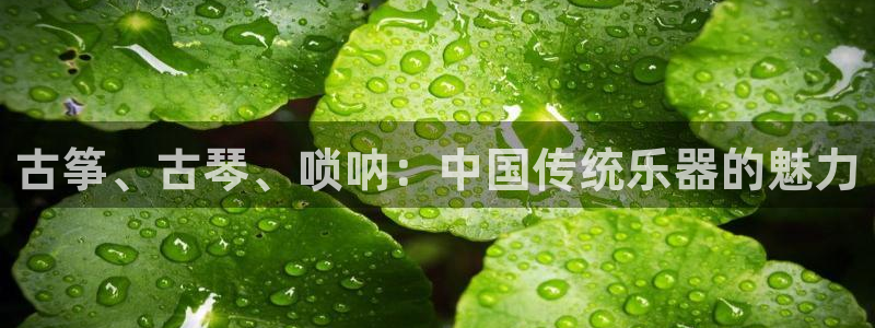 凯发国际可靠送38元