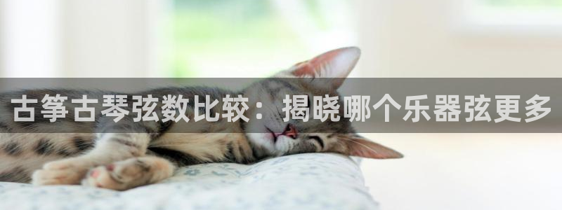 凯发官方网站是多少