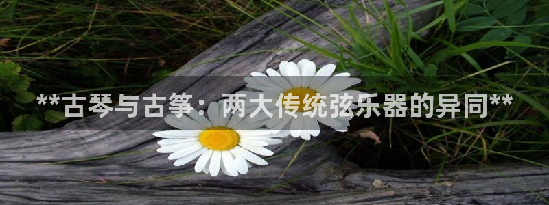 凯发娱网址是什么