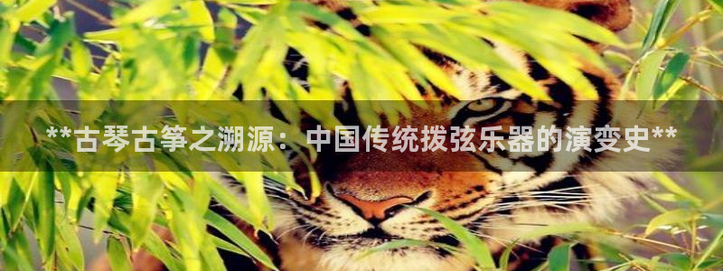 凯发k8国际不能提款了吗
