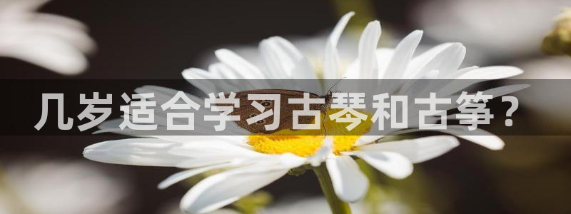 凯发线上app苹果版下载