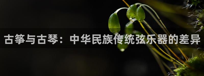 凯发k8国际真人版可靠送38元：古筝与古琴：中华民族传统弦乐