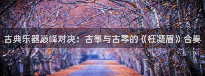 凯发国际娱乐官网k8：古典乐器巅峰对决：古筝与古琴的《枉凝眉