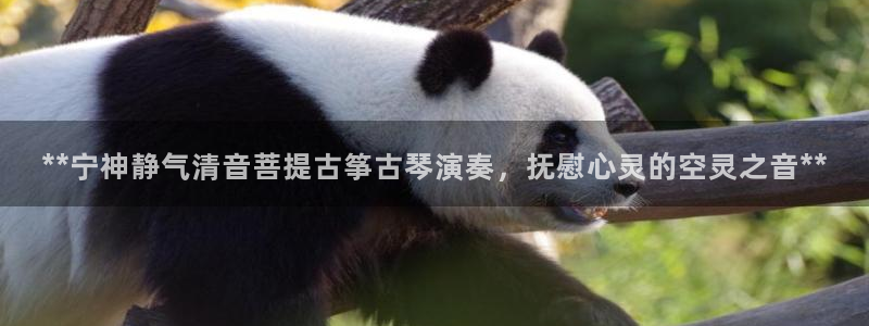 凯发k8国际真人娱乐手机app