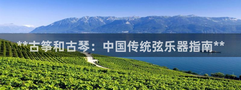 凯发国际网络平台网址