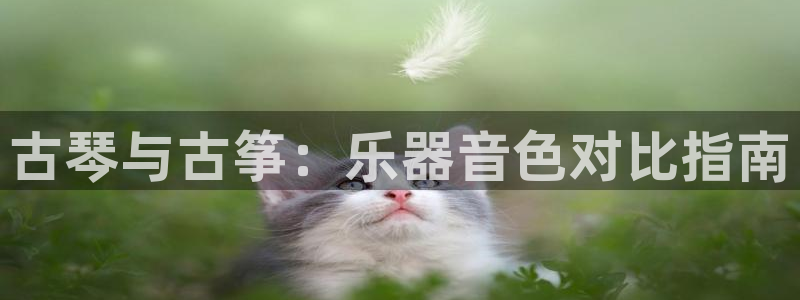 凯发k8娱乐官方版fxzls -安卓3.5