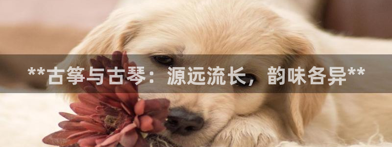 凯发网网站